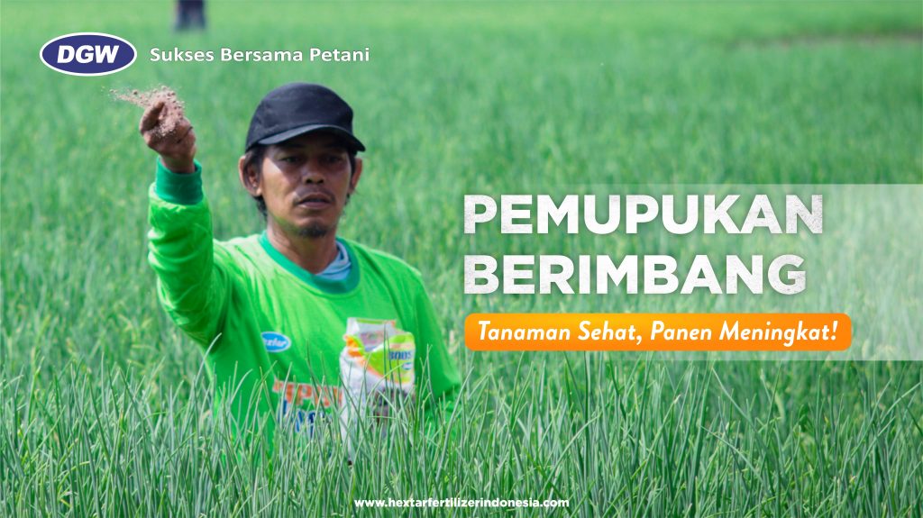 Pemupukan-Berimbang