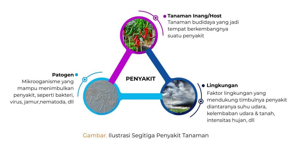 Ilustrasi-Segitiga-Penyakit-Tanaman