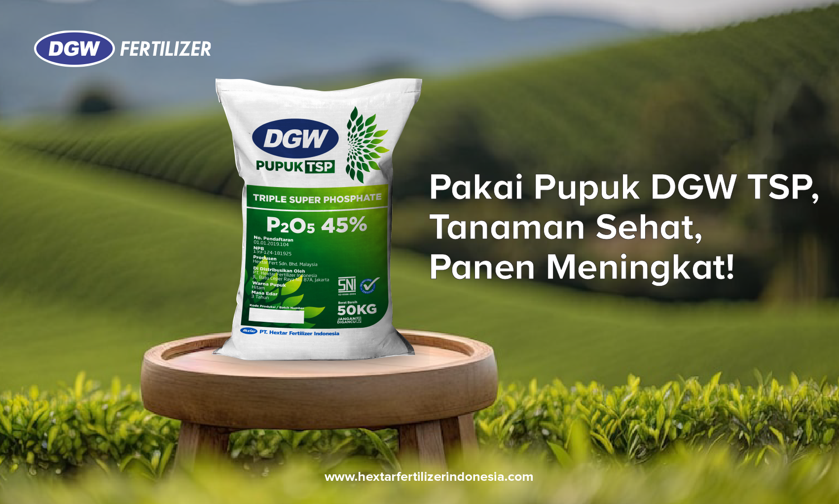 beragam-manfaat-pupuk-tsp-hasilkan-panen-meningkat-dgw-fertilizer