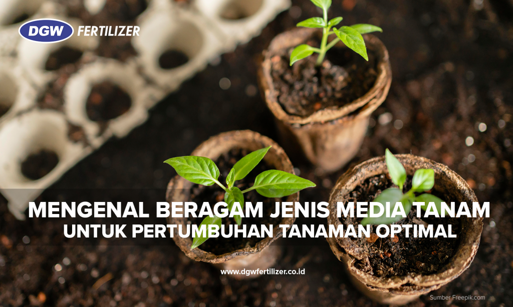 Jenis-Media-Tanam