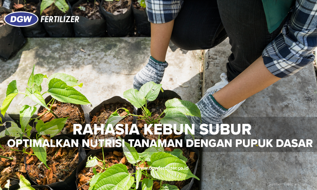 Rahasia-Kebun-Subur