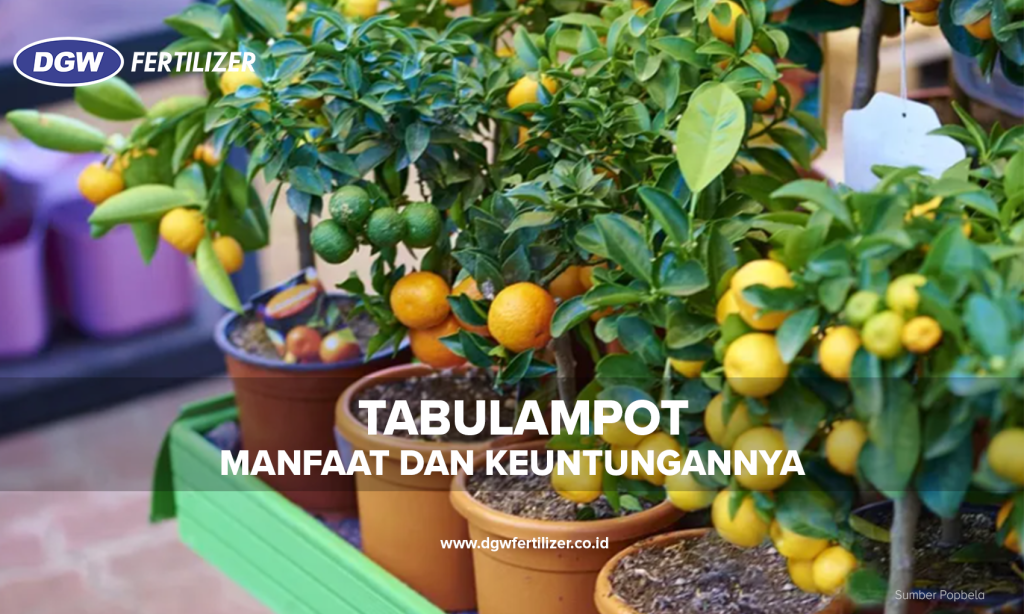 Tabulampot