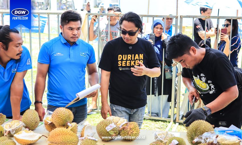 FESTIVAL-DURIAN-SULAWESI